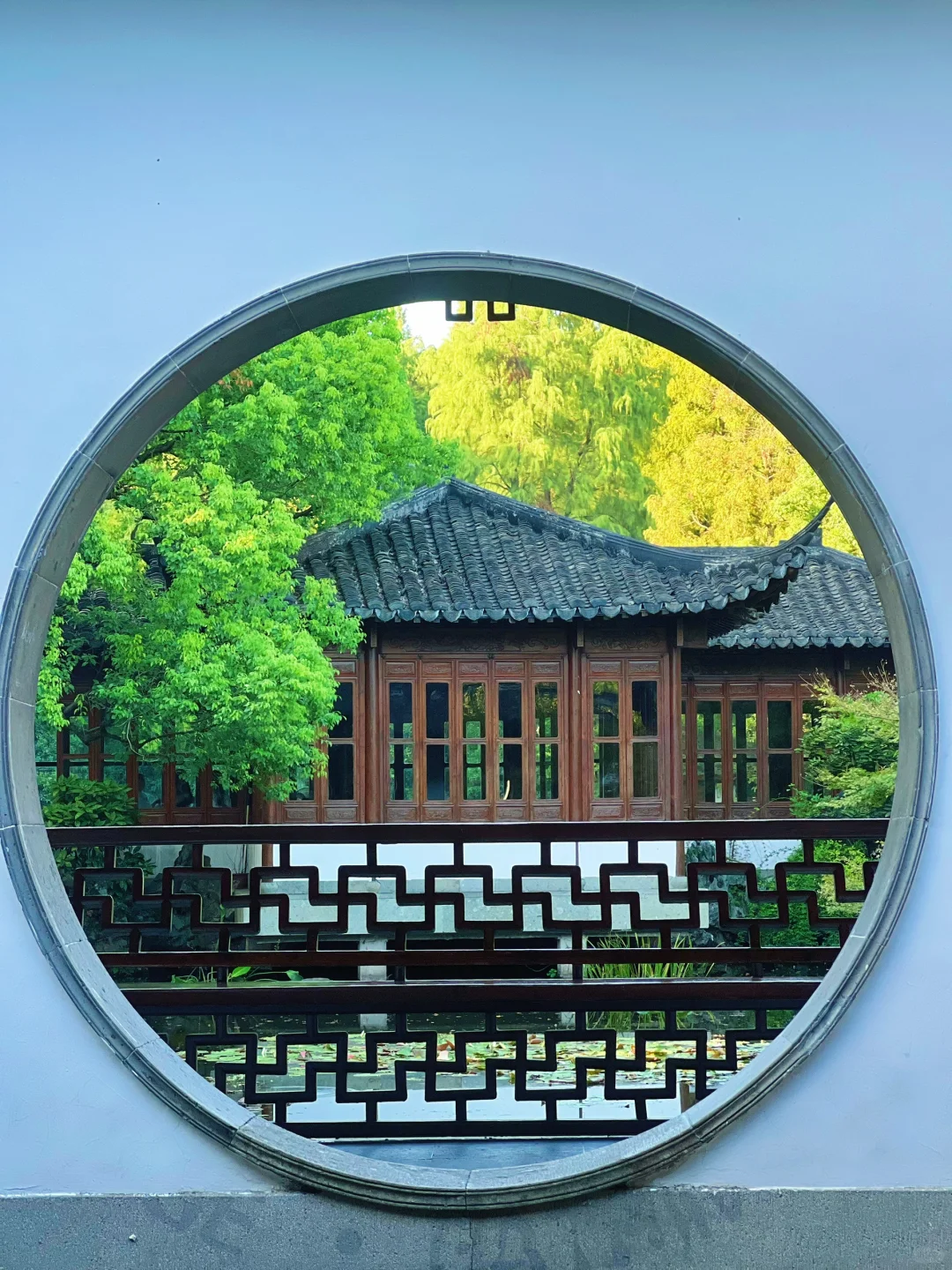 我在杭州上春山 | 最推荐的西湖赏春路线❗️