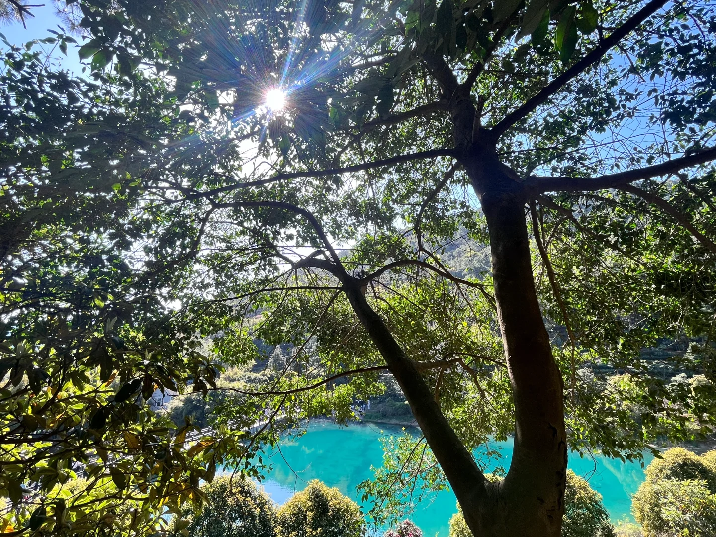 3.30 | 苏州小众踏春赏花景点‼️🤩