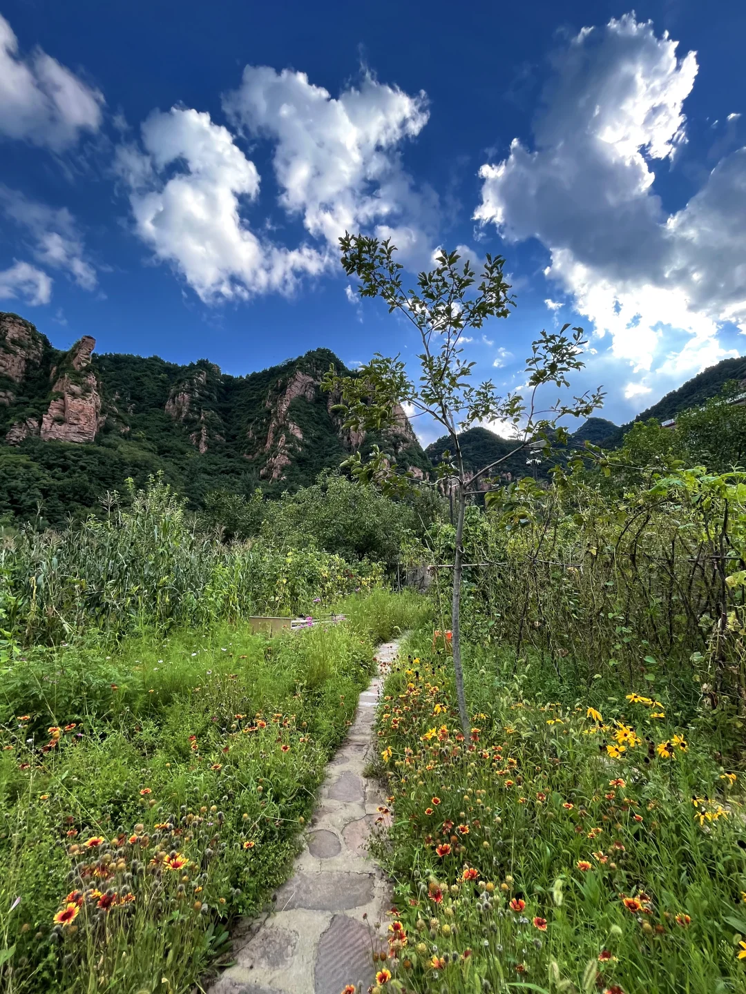 🌻✨邯郸小众宝藏出游推荐