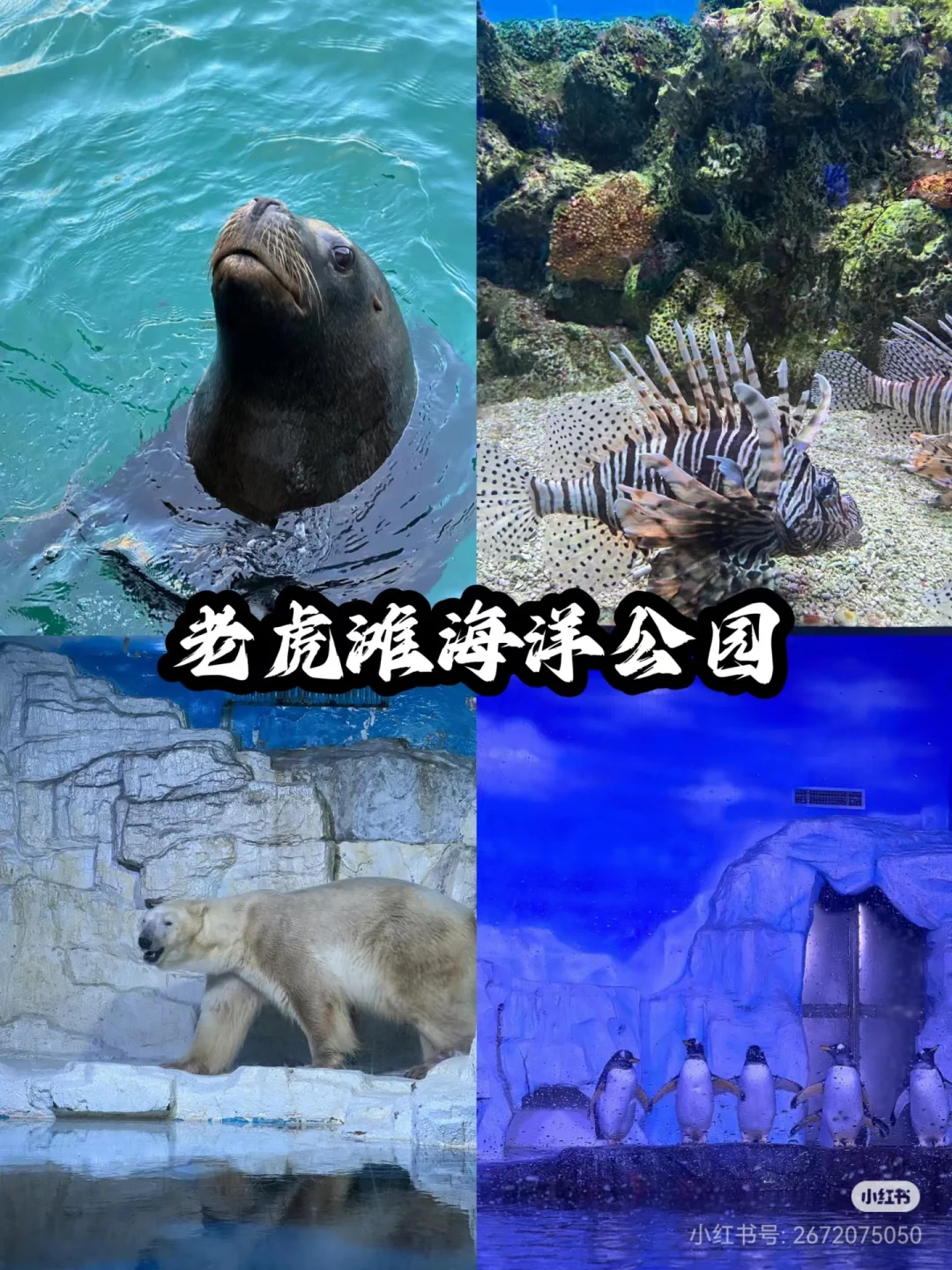 辽宁超全旅游攻略 | 一篇带你玩遍宝藏地