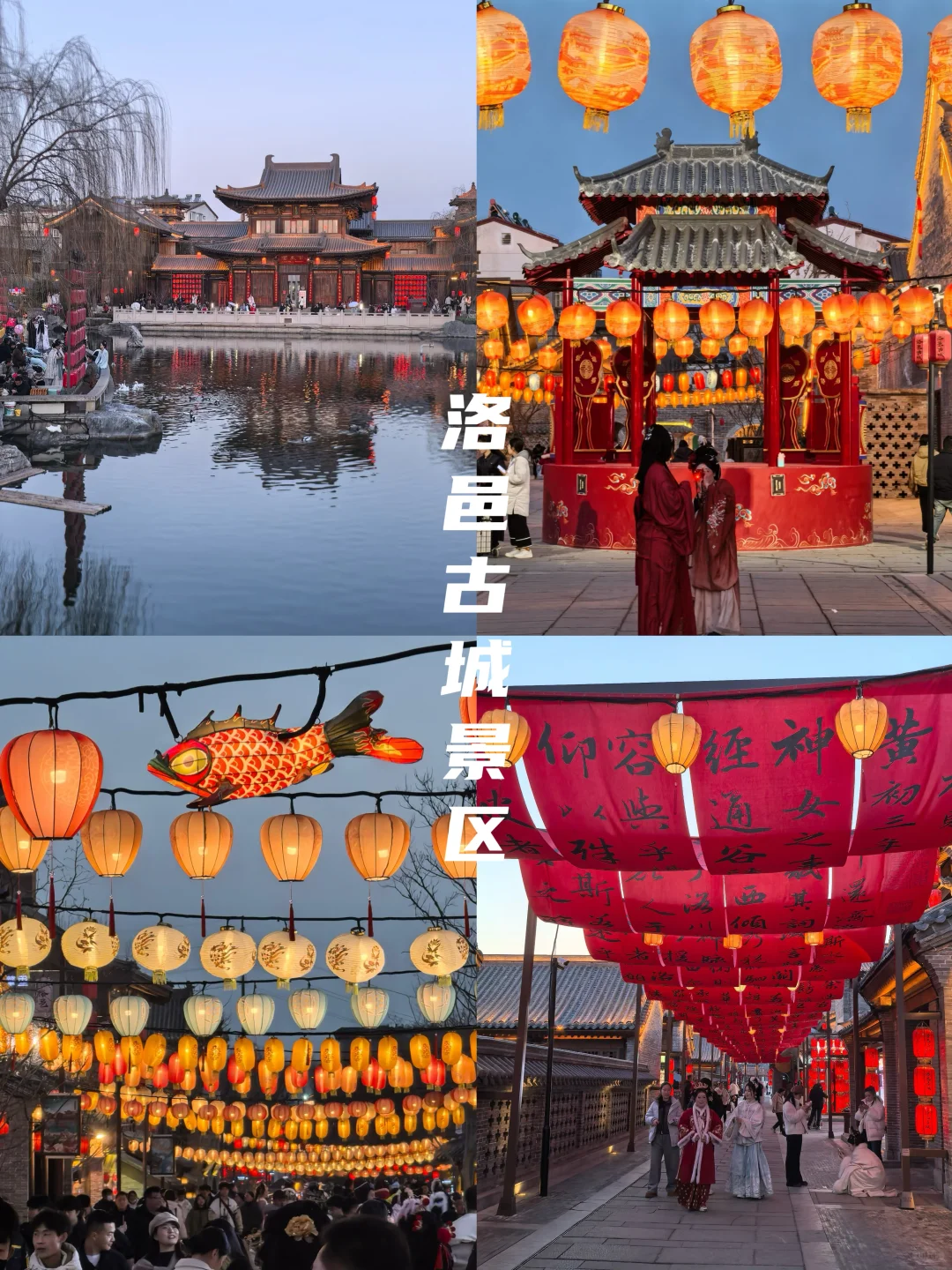 牡丹待放🌸｜洛阳还有这些地方穿越千年