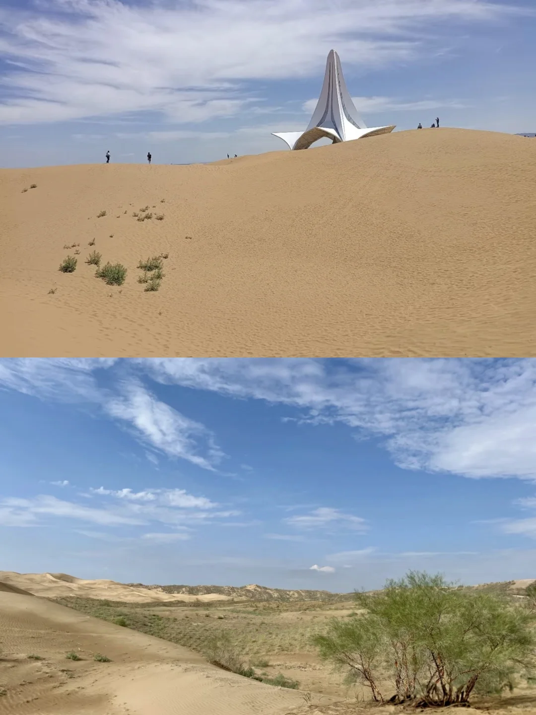 沙坡头真实体验 |适合一个人散步的小众旅行