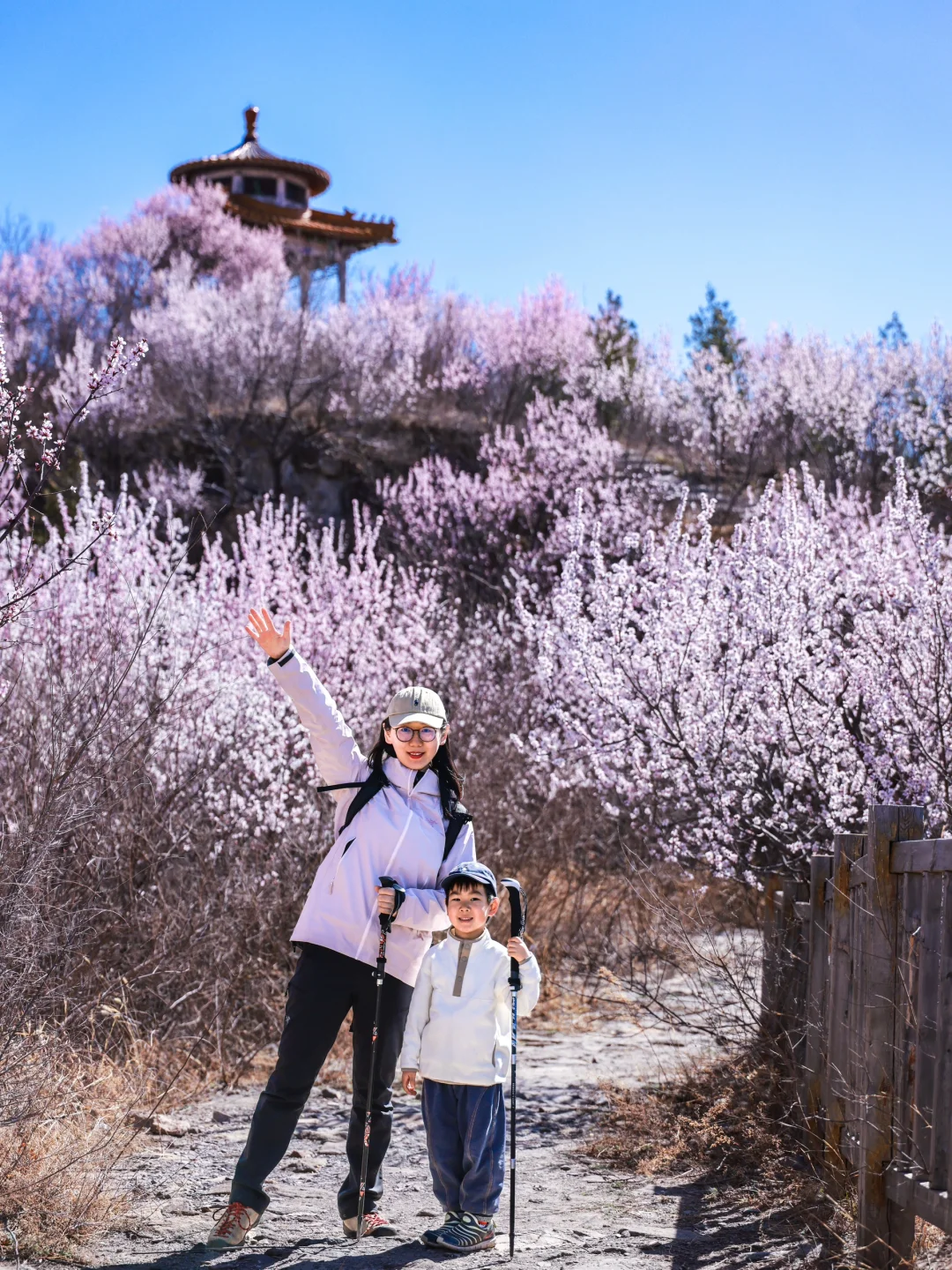 3.20❗️北京蕞适宜全家小众赏花路线宠物友好