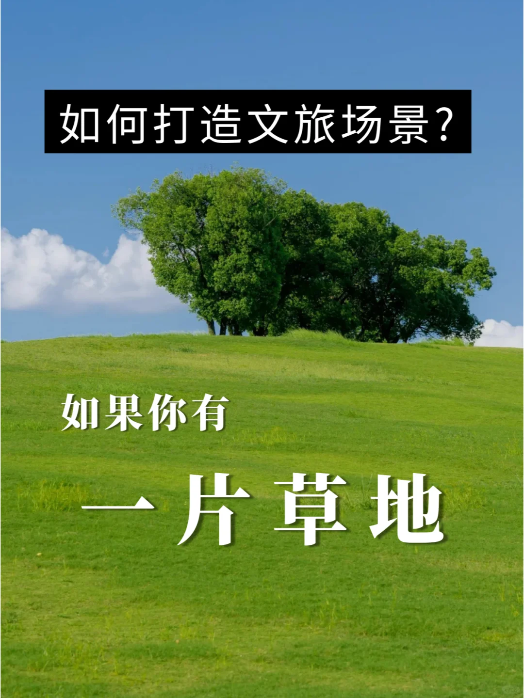 如果你有一片草地，怎么打造网红场景？