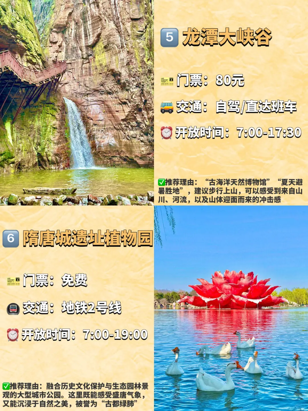 洛阳最值得打卡的九大景点‼️旅行前码住🔥