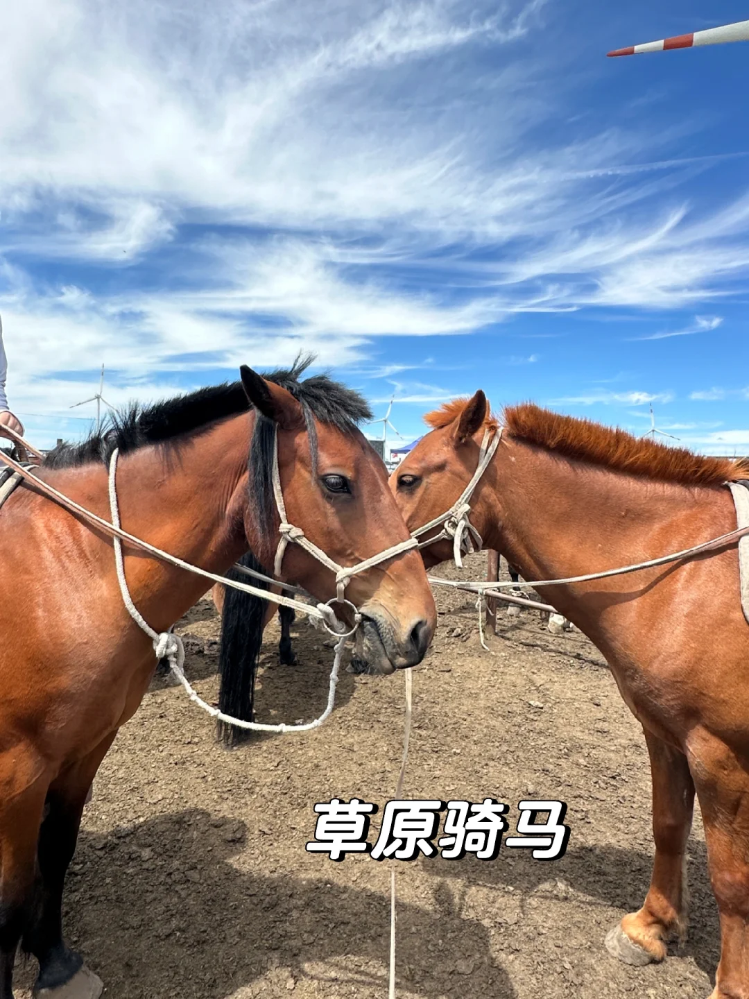 乌兰察布‼️两天一夜 保姆级攻略