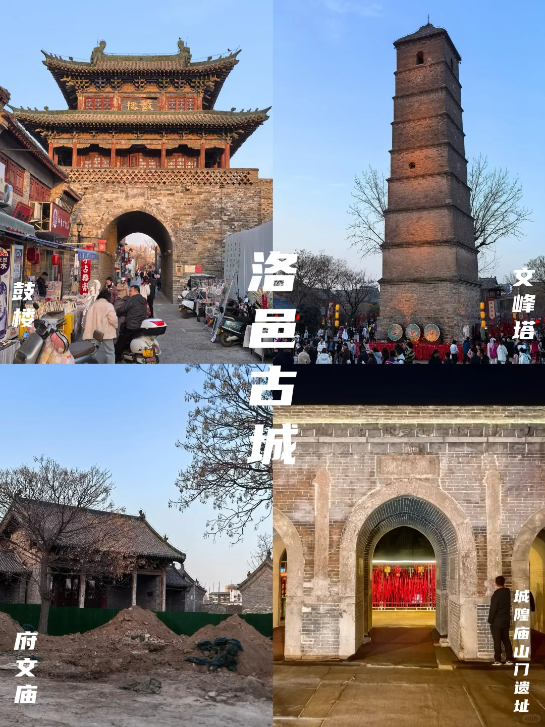 牡丹待放🌸｜洛阳还有这些地方穿越千年