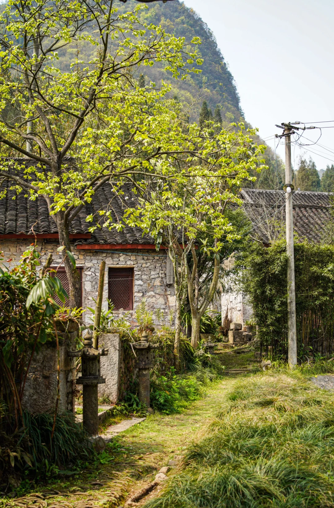 📍贵州兴义万峰林 当一次精神村民