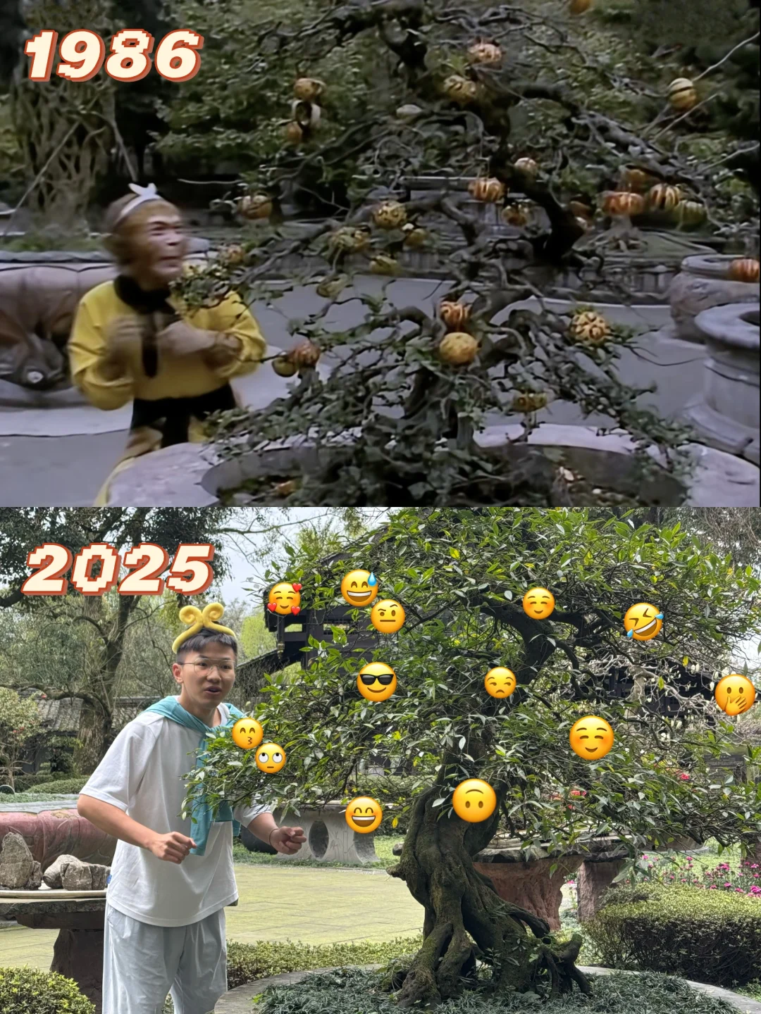 来都江堰只搞一件事👀