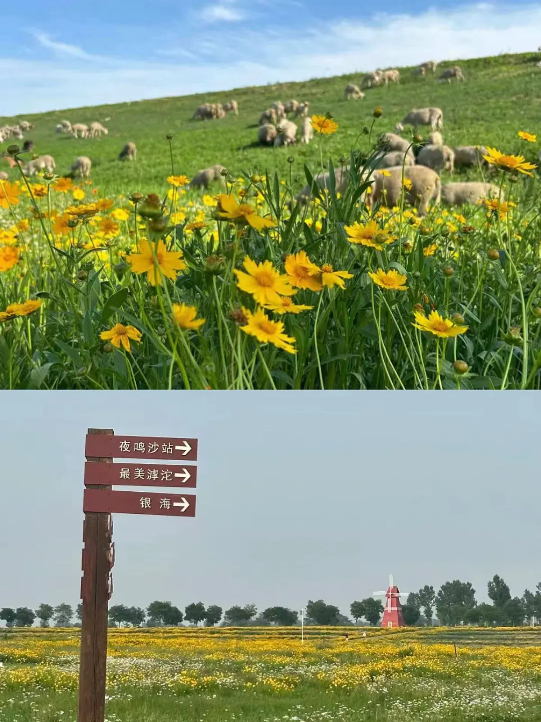 都是美到词穷的存在✔(附地址)