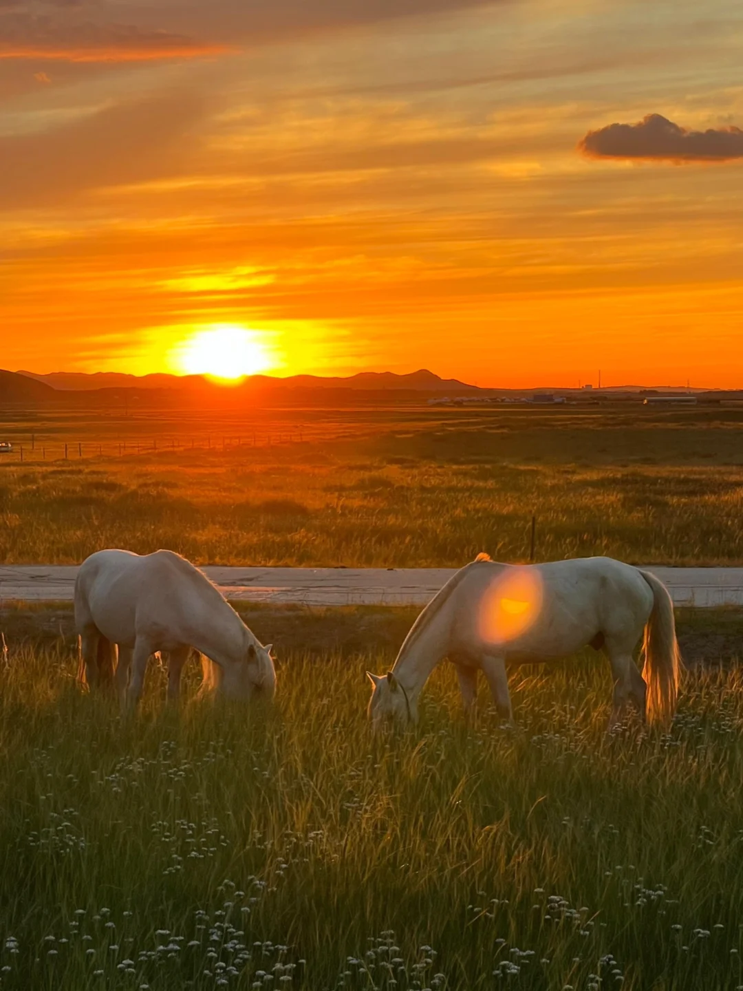 五一反向旅游！想安利1W次被低估的宝藏秘境