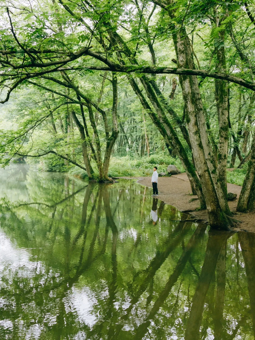 以为宏村已经够美了，直到我去了这里…