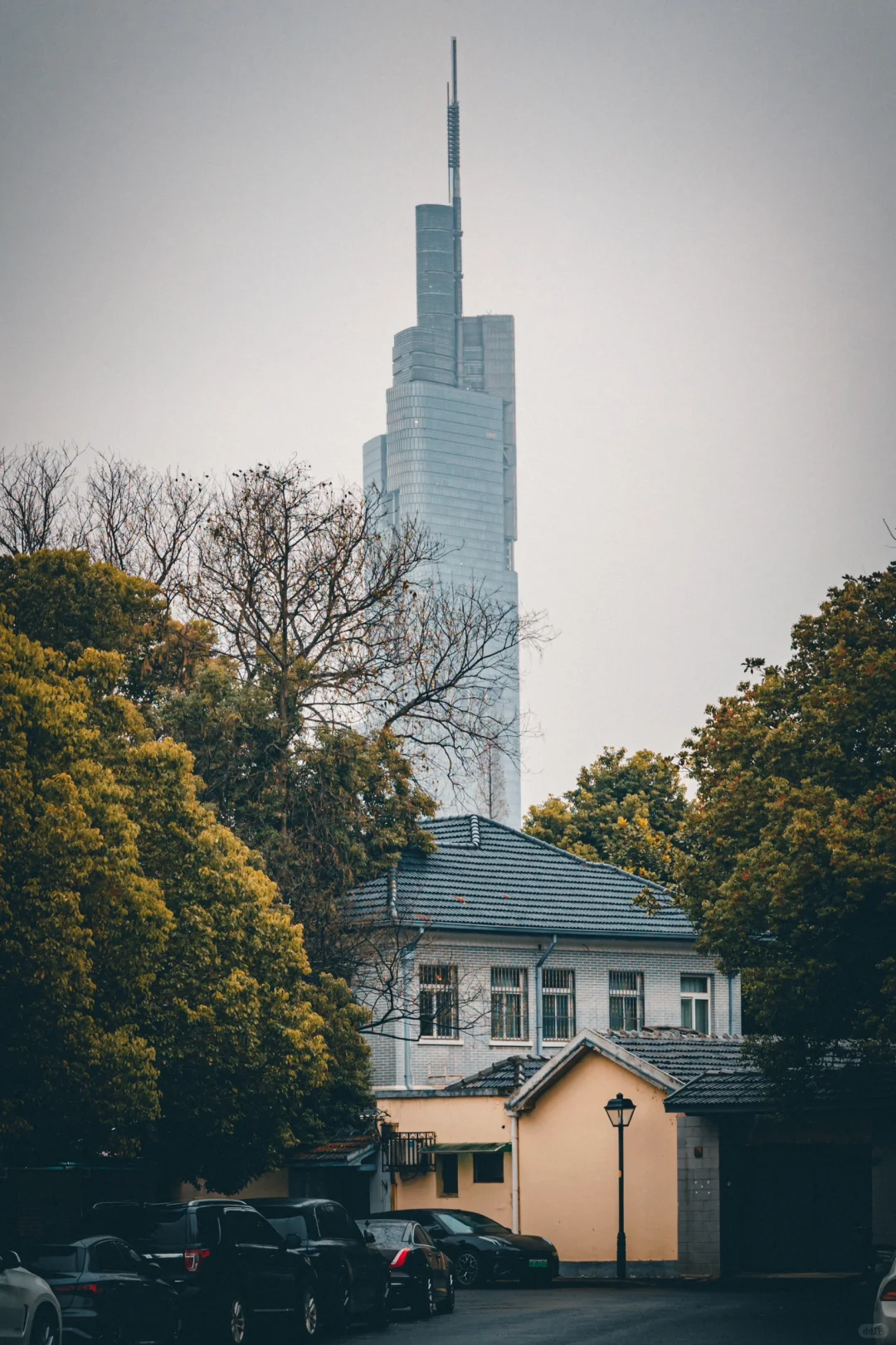 暴走南京24h，我拍到了这🔟个大片机位～