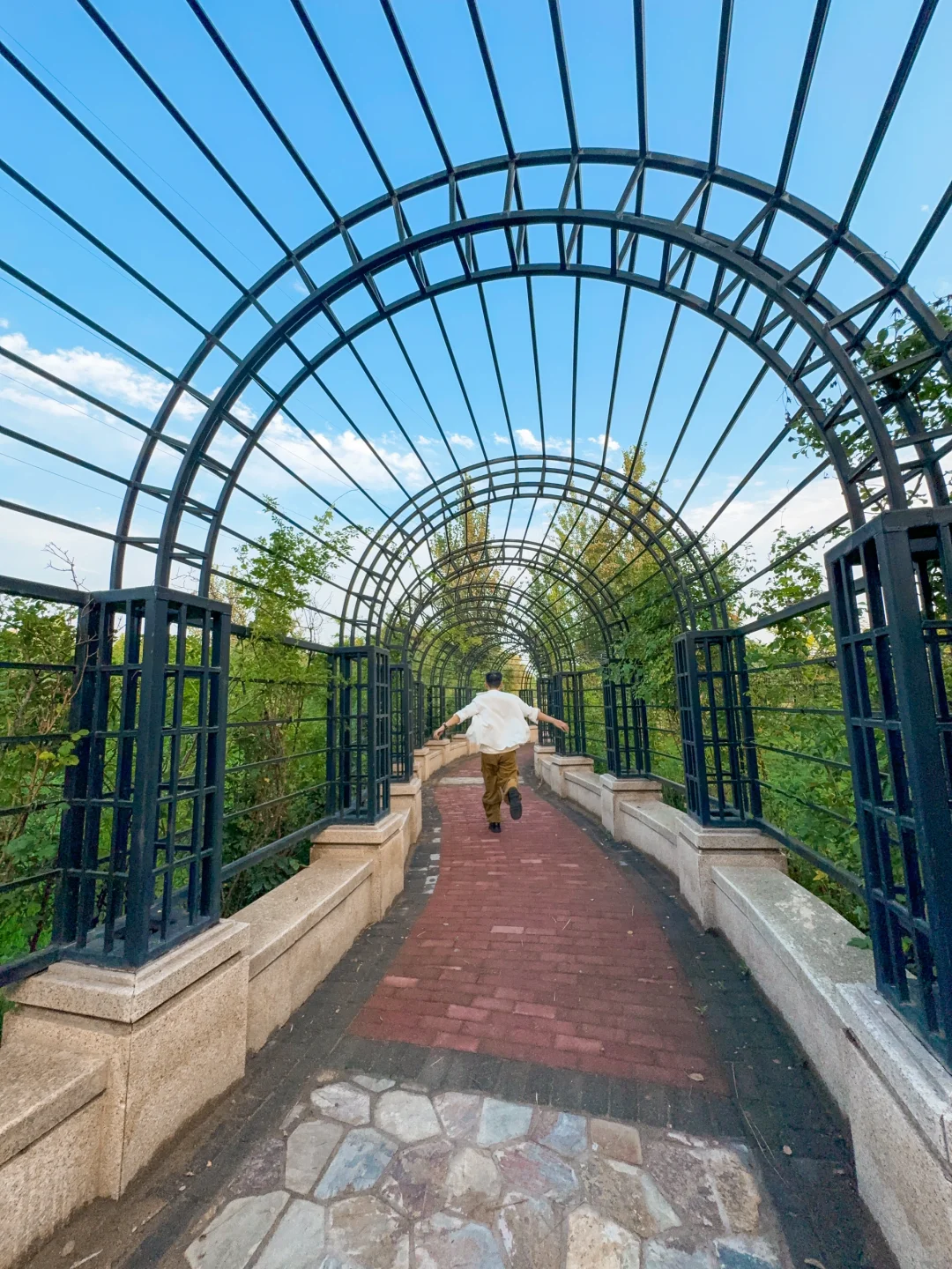 公园20分钟效应·邯郸植物园带来的松弛感🌲