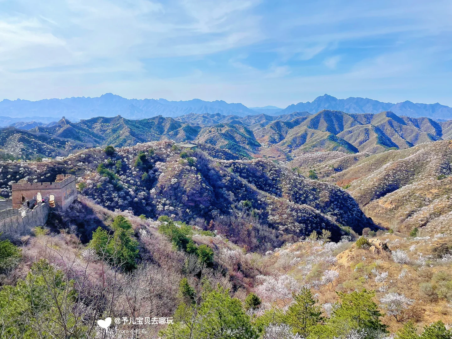春日户外遛娃🌸这里必须踮起脚来推荐❗️