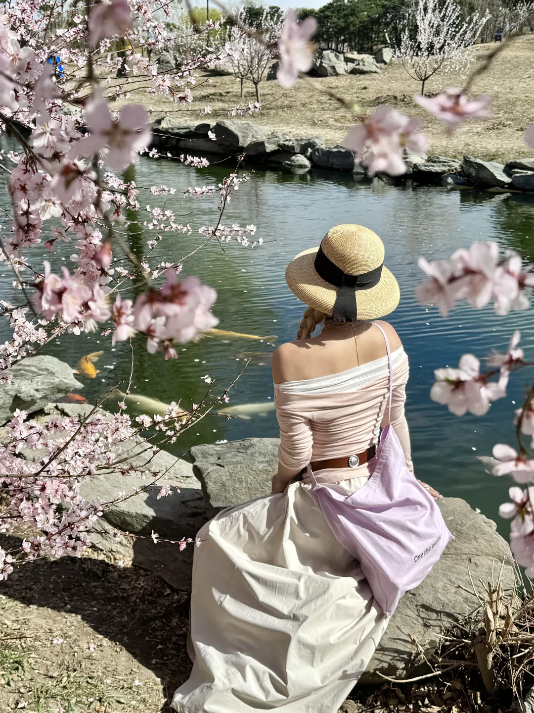 拒绝市区人挤人🌸圆明园的锦鲤桃花溪太香了