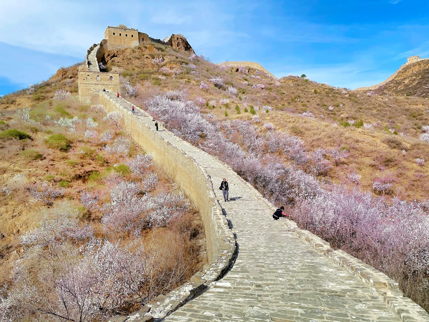 春日户外遛娃🌸这里必须踮起脚来推荐❗️