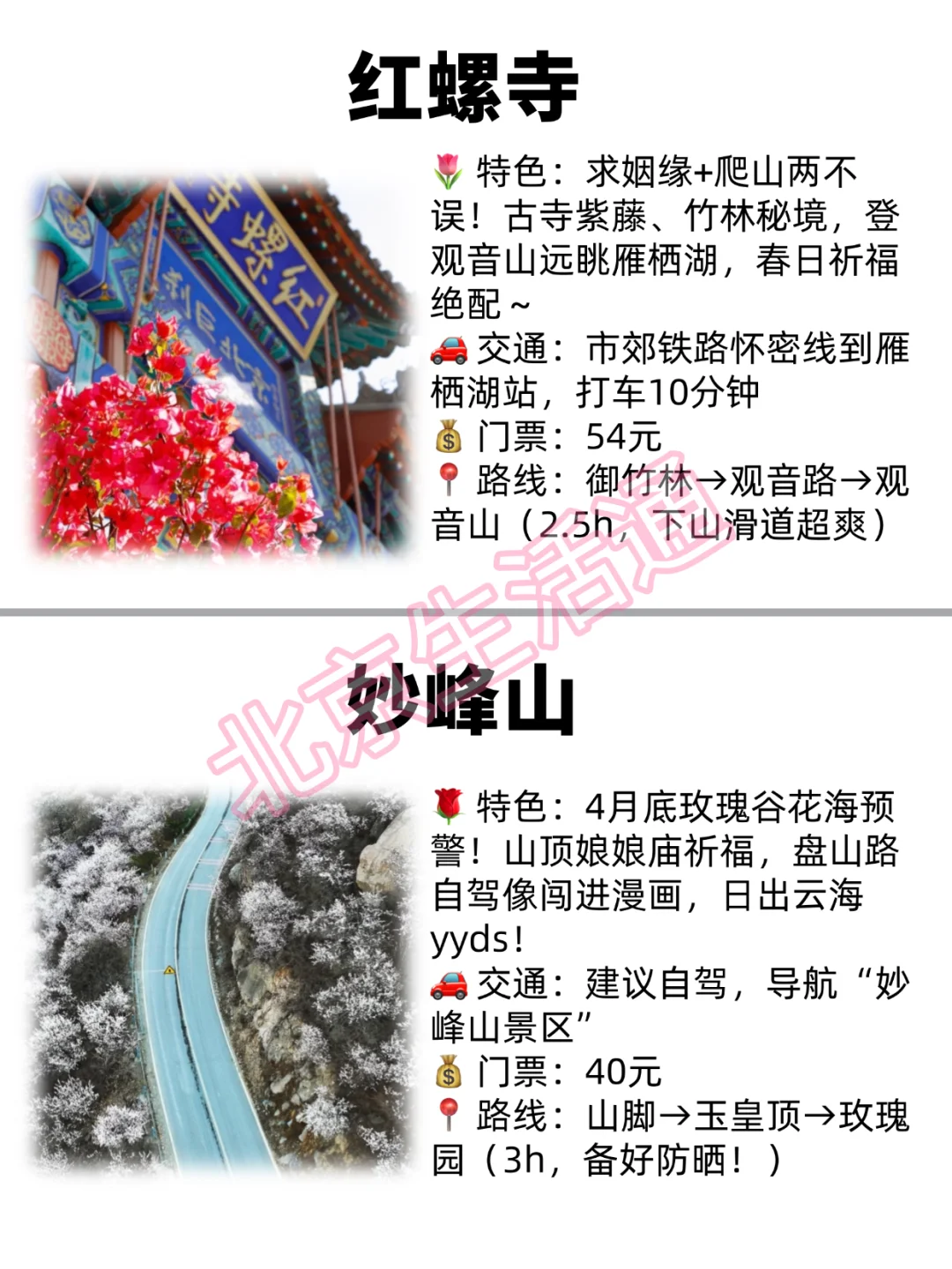 ⛰️ 北京春日爬山指南｜8座神仙山野，人少花多