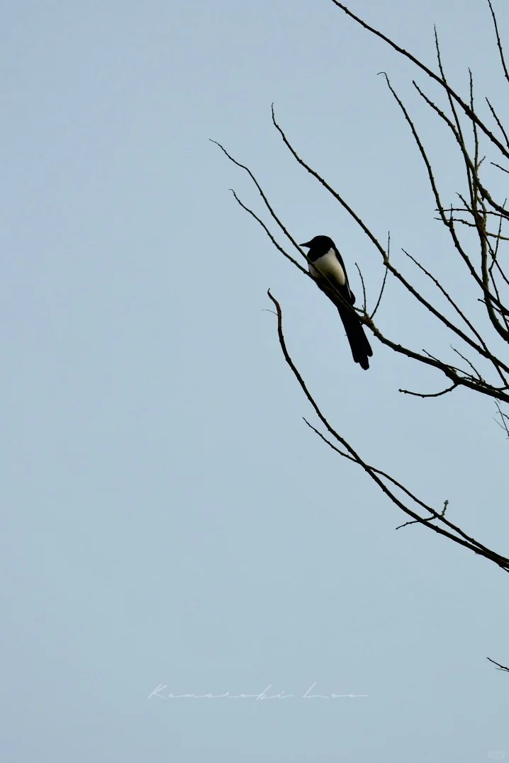 00后毕业在景区工作是什么体验