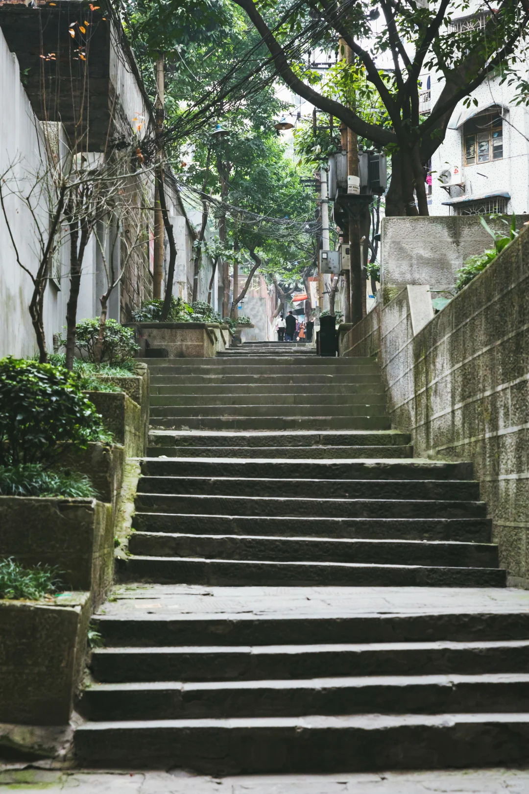 重庆必去的7个免费景点，地铁直达！