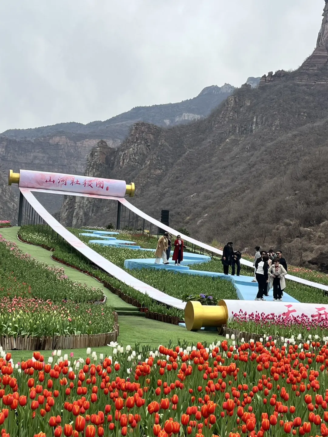 谁懂！河南宝泉藏着春日限定郁金香花海🌷