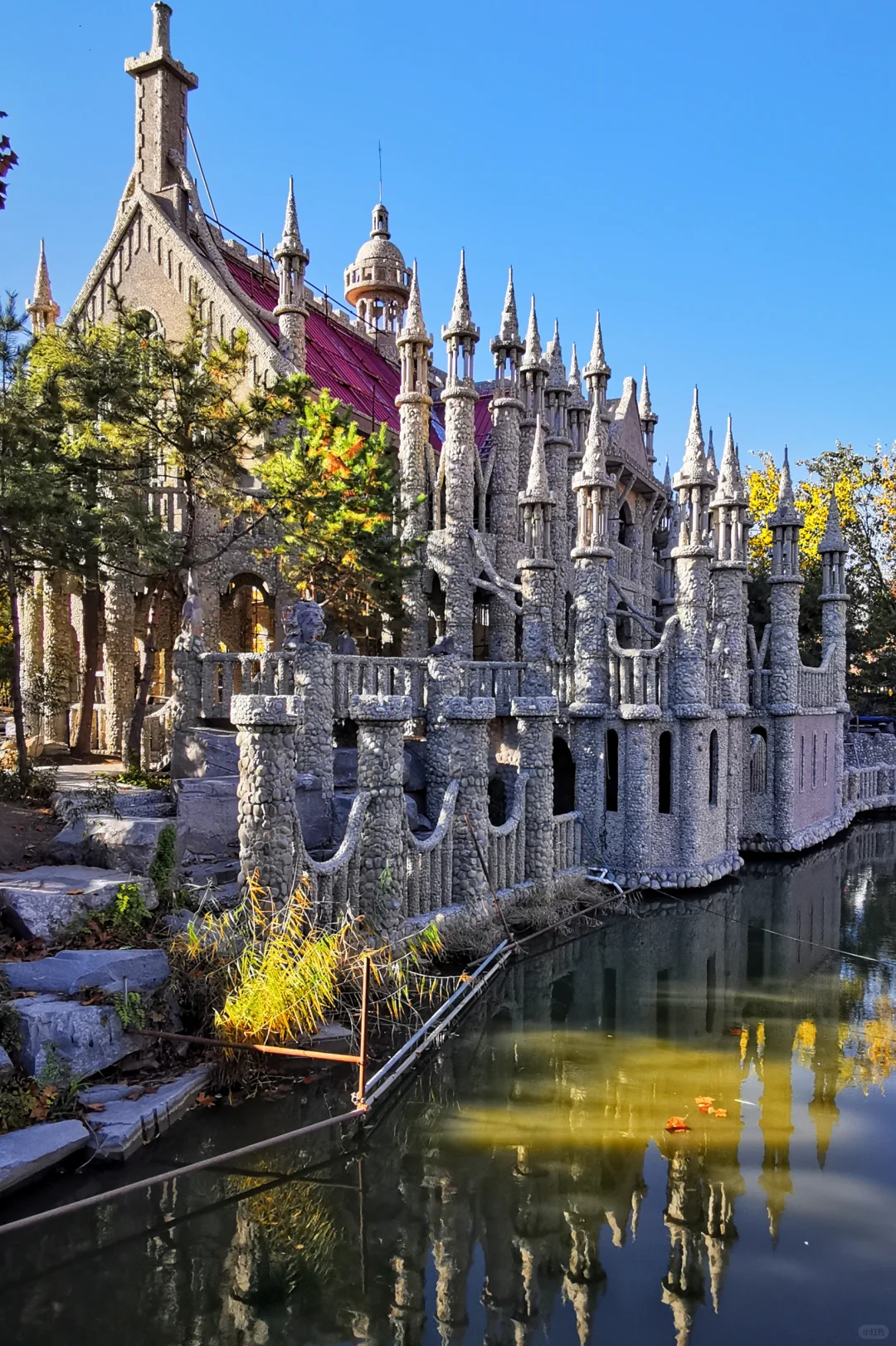 打卡天津254：惊艳的中华石园🌺