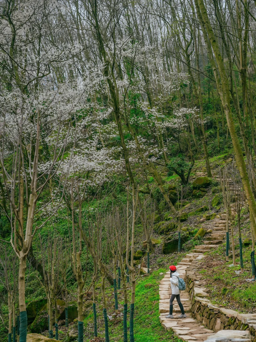 在成都周边！！我唯一想去无数次的徒步路线！！