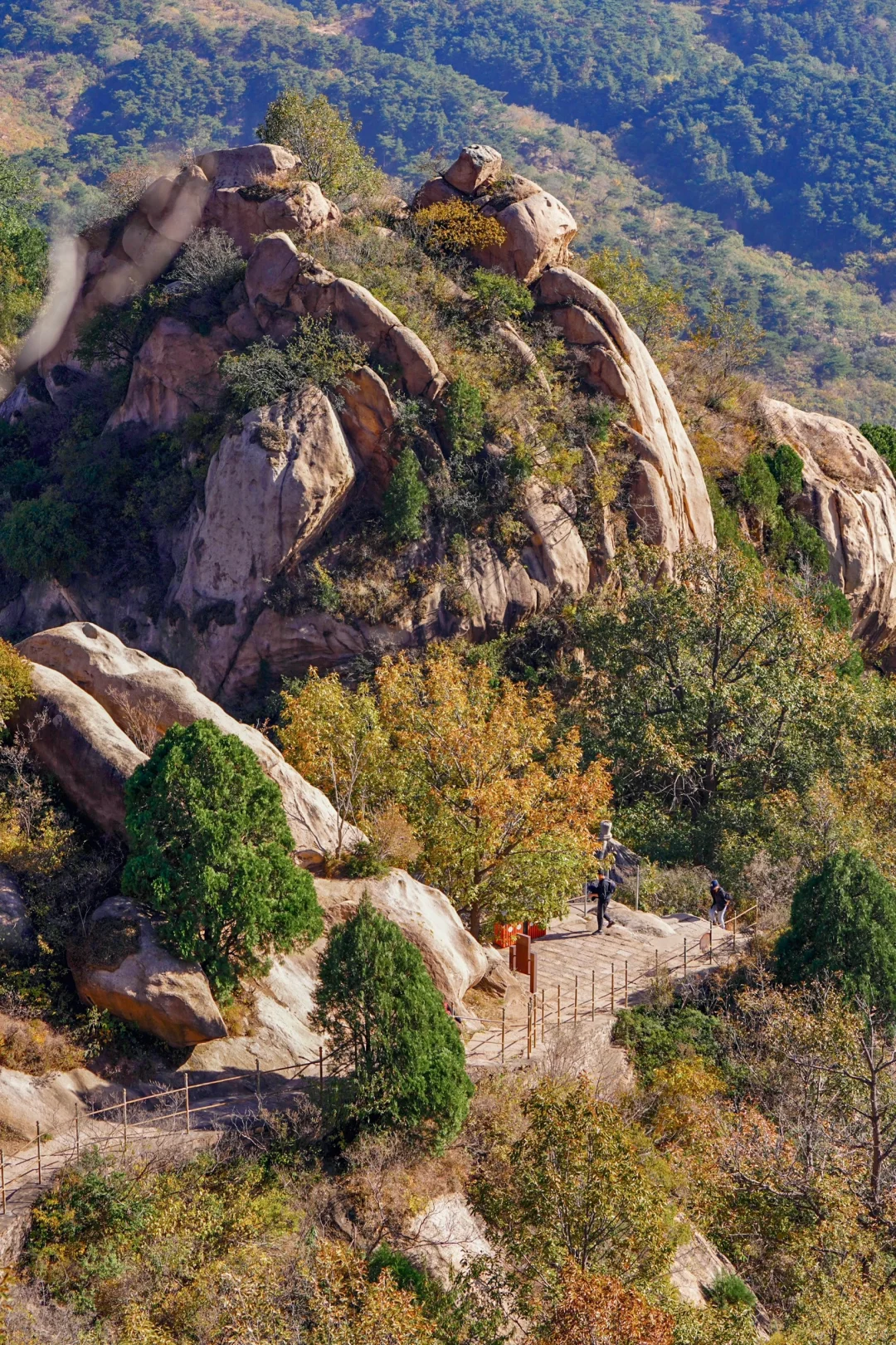 京郊1h🚙被严重低估的春游秘境🌳附攻略