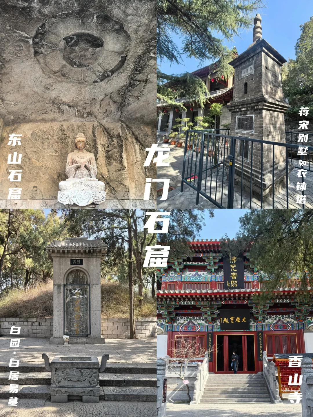 牡丹待放🌸｜洛阳还有这些地方穿越千年