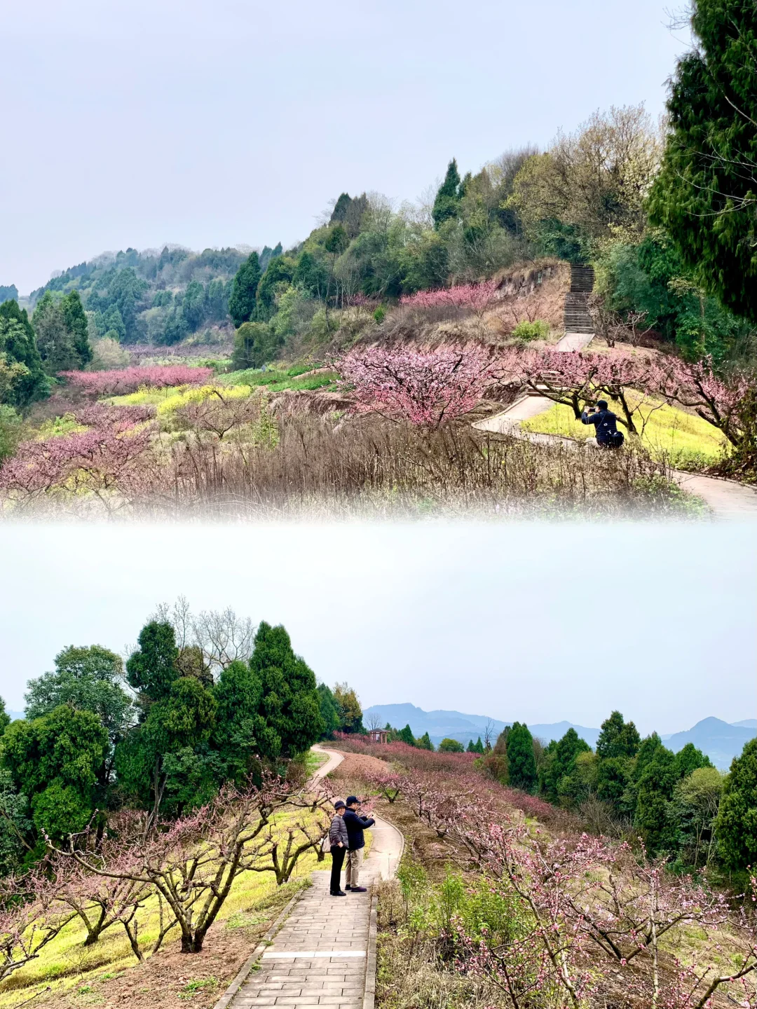 成都徒步|走入油画般的登山步道