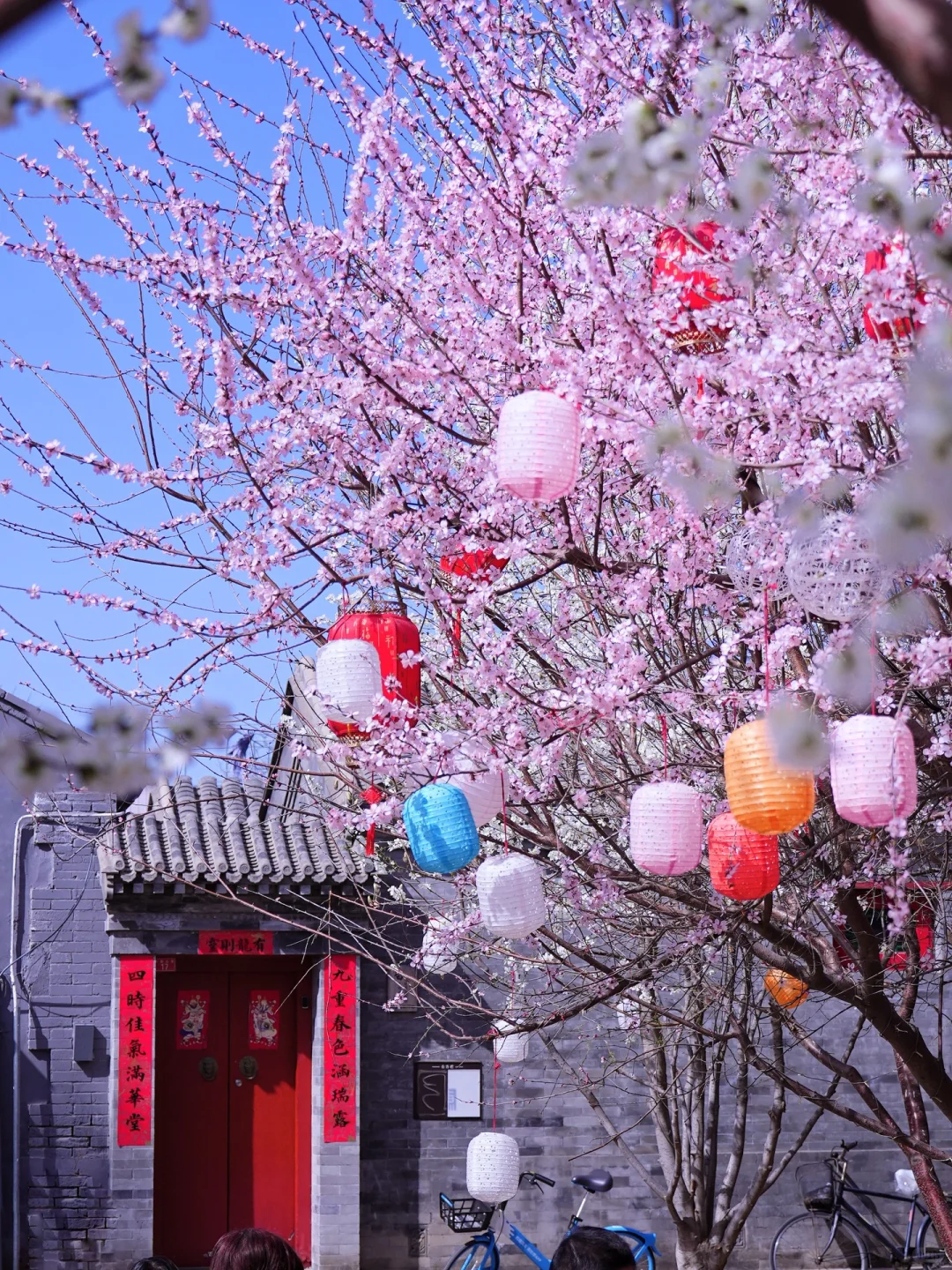 北京春天📍适合一个人逛一下午的地方…