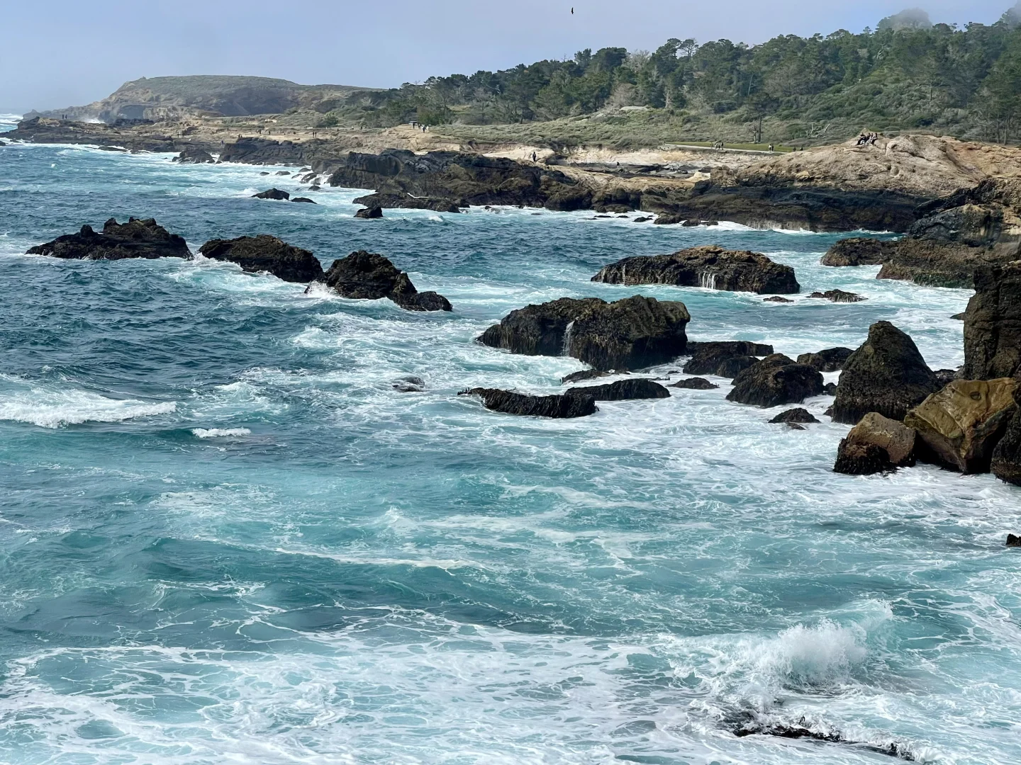 加州平替Hawaii 都给我去Carmel！附超强攻略