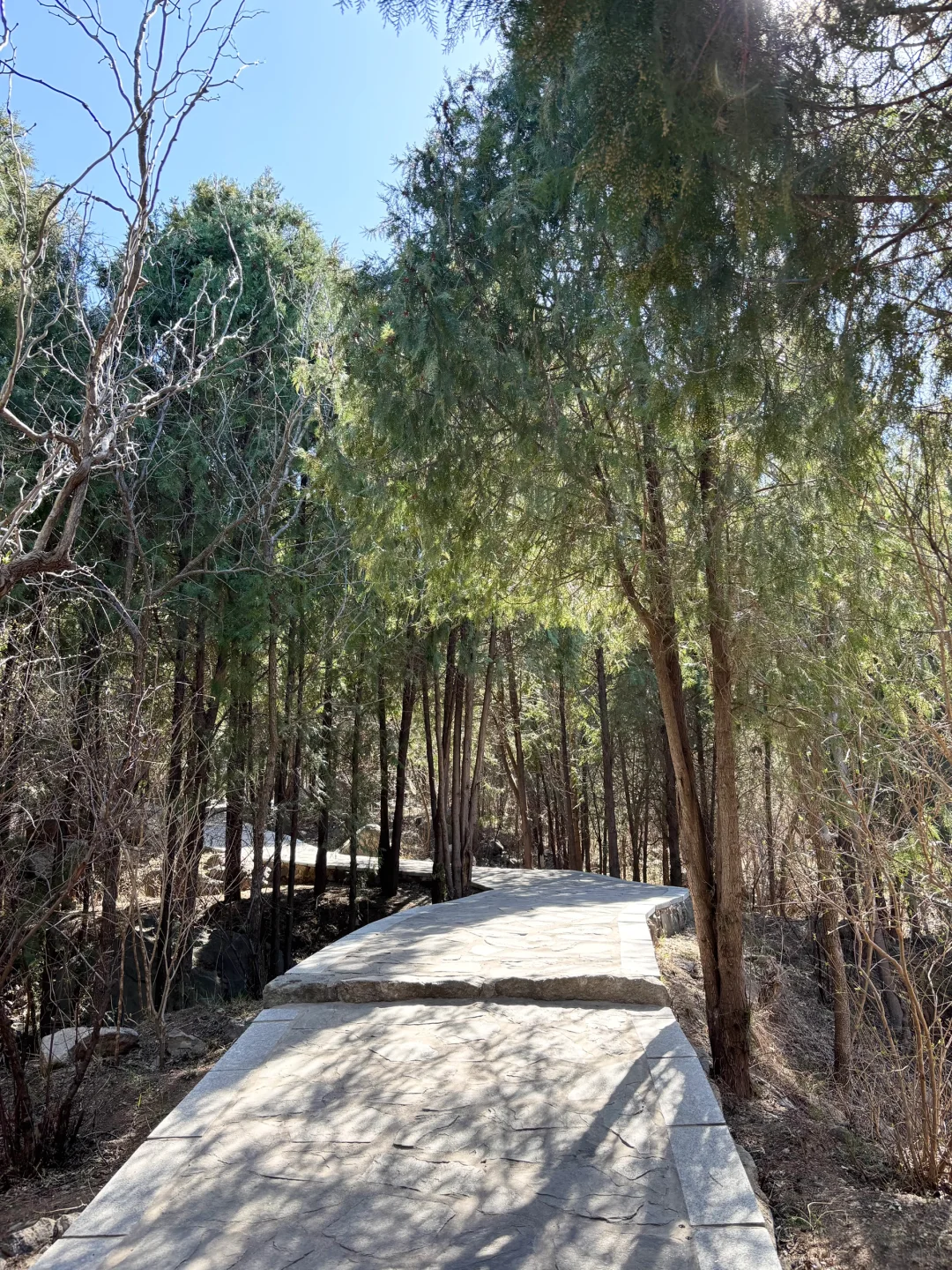带着宝宝👶上春山⛰️⛰️🏔️🗻