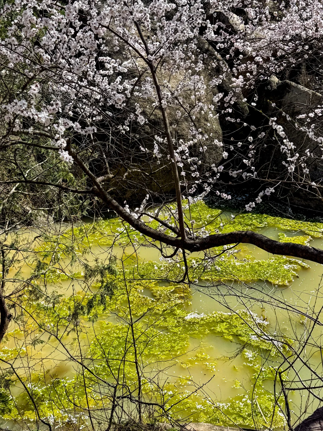 3.22 白虎涧 带上你最好的相机冲冲冲!