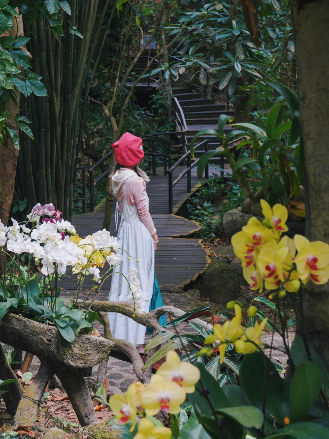 来三亚📍我发现了春日的热带雨林👒｜呀诺达