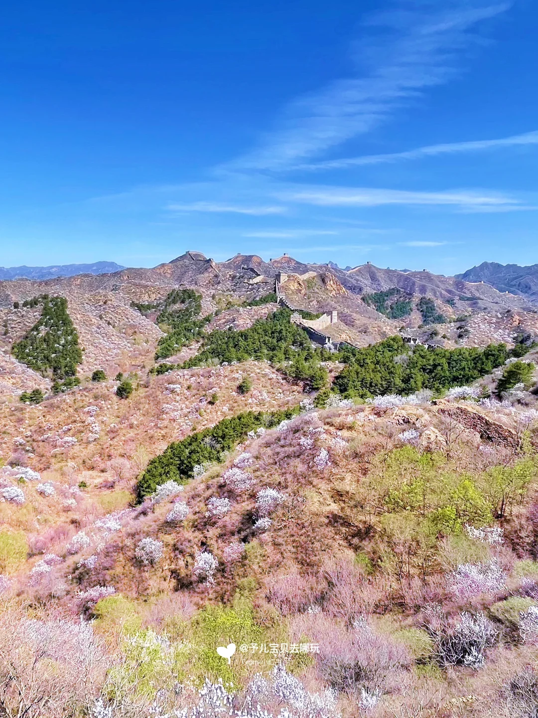 春日户外遛娃🌸这里必须踮起脚来推荐❗️
