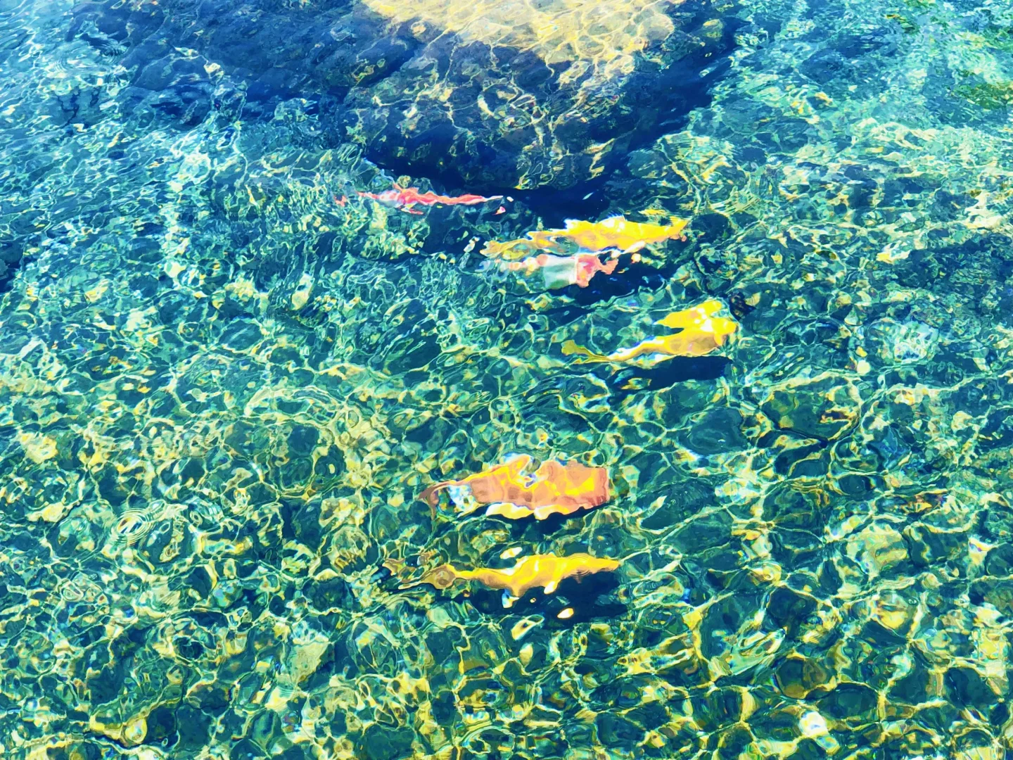 在邯郸‼️分享一些不花钱,获得的快乐(合集)