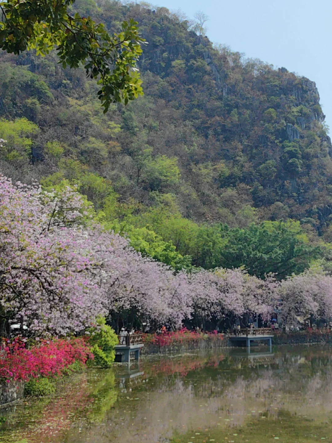 肇庆七星岩免费及优惠政策(2025年)