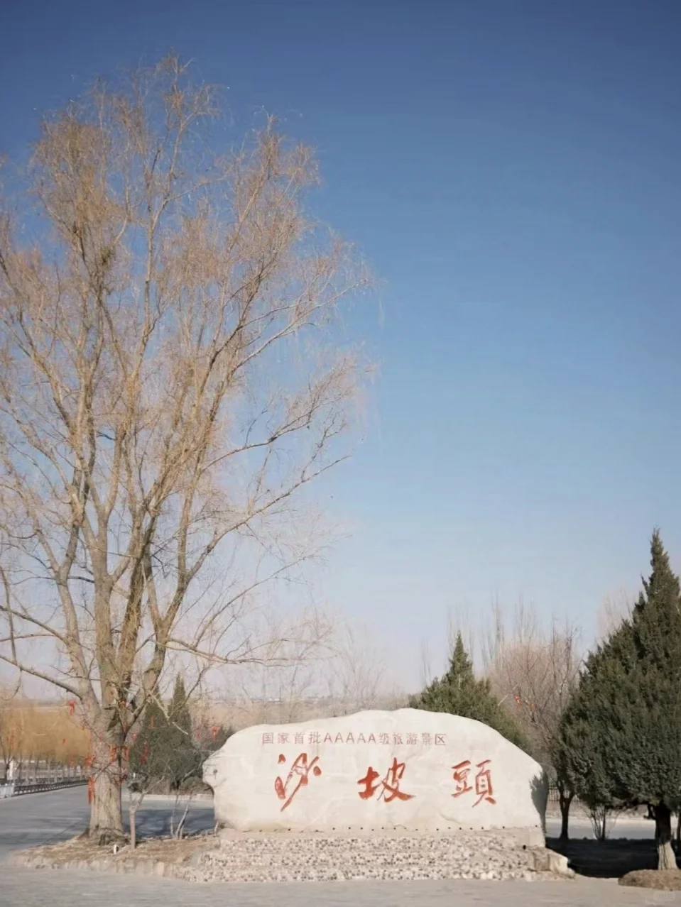 沙坡头真实体验 |适合一个人散步的小众旅行