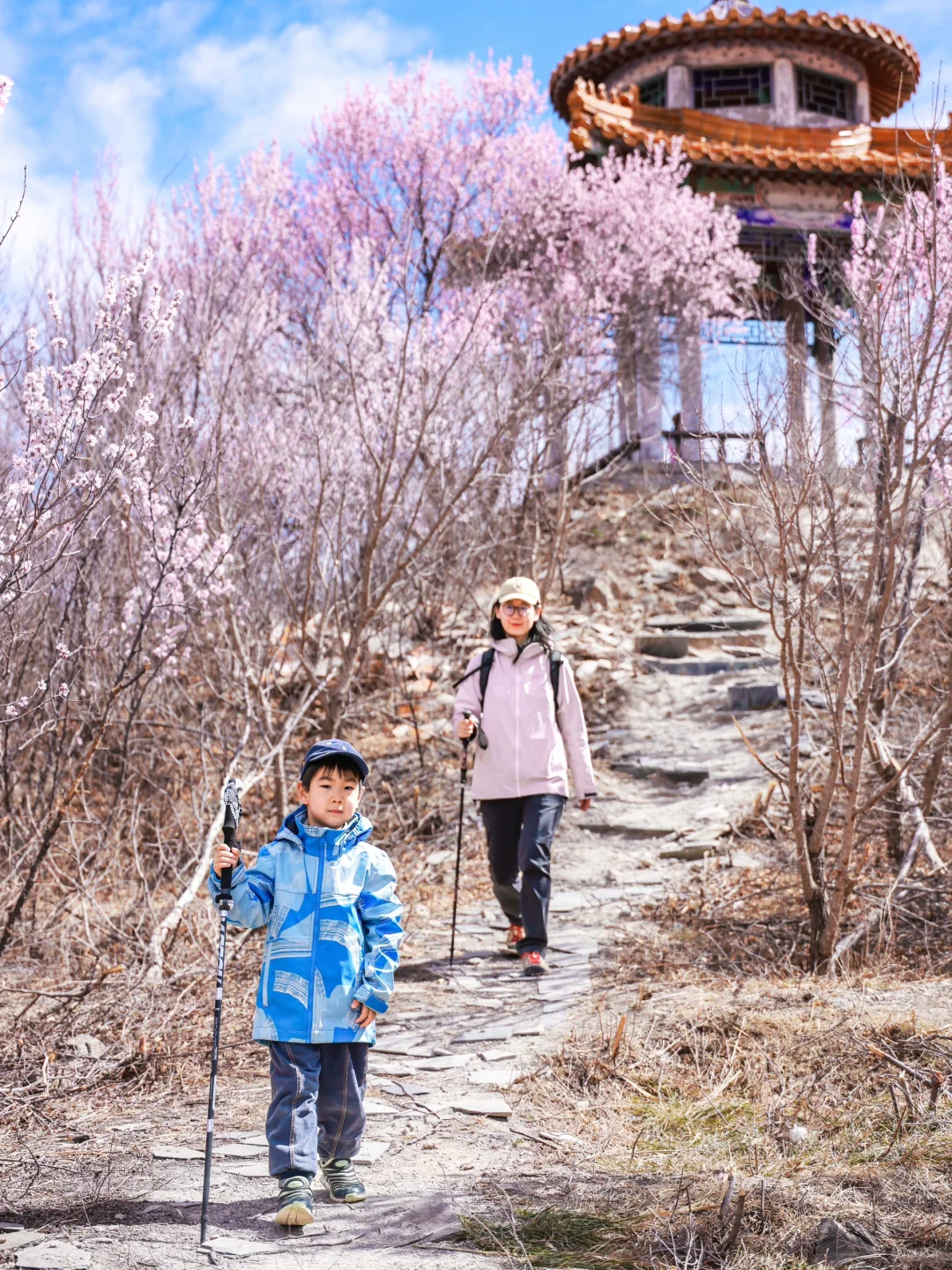 3.20❗️北京蕞适宜全家小众赏花路线宠物友好