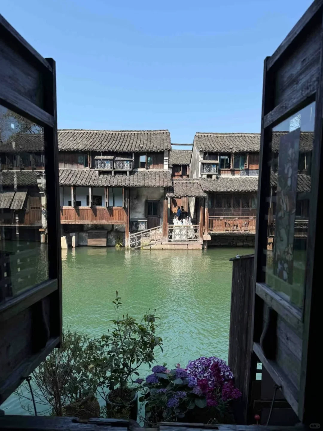 3.20📍乌镇已回！住景区里太爽啦，live直出