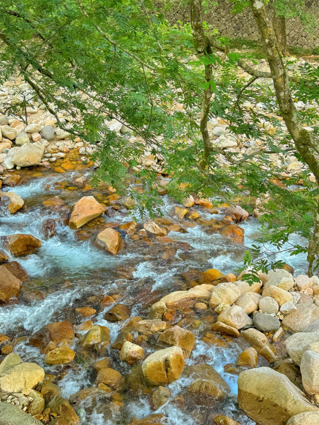 本以为西湖已经够美了，直到来了这里…………