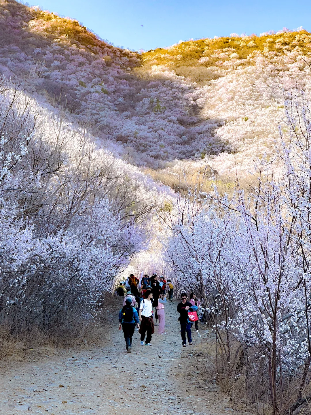 3.22 白虎涧 带上你最好的相机冲冲冲!