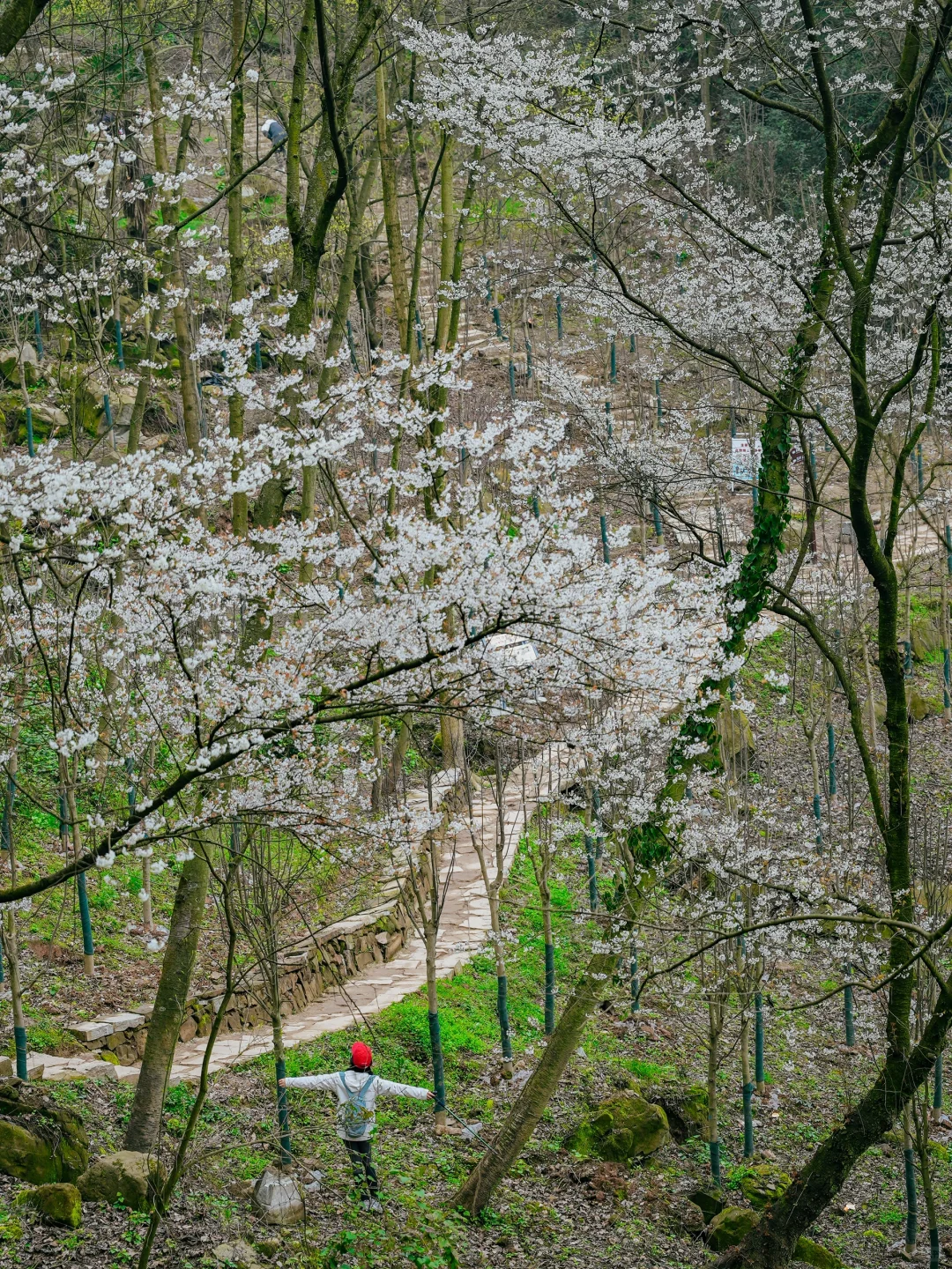 在成都周边！！我唯一想去无数次的徒步路线！！