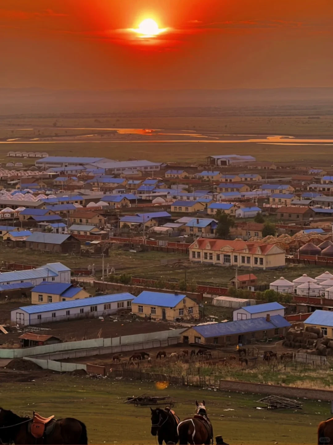 内蒙古的夏天，是一场盛大的浪漫🌷