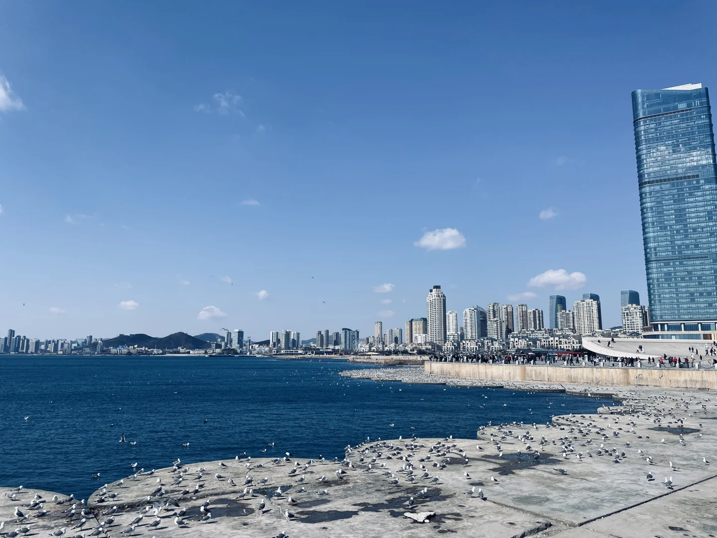 大连免费旅游景点，东港和星海哪个更值得