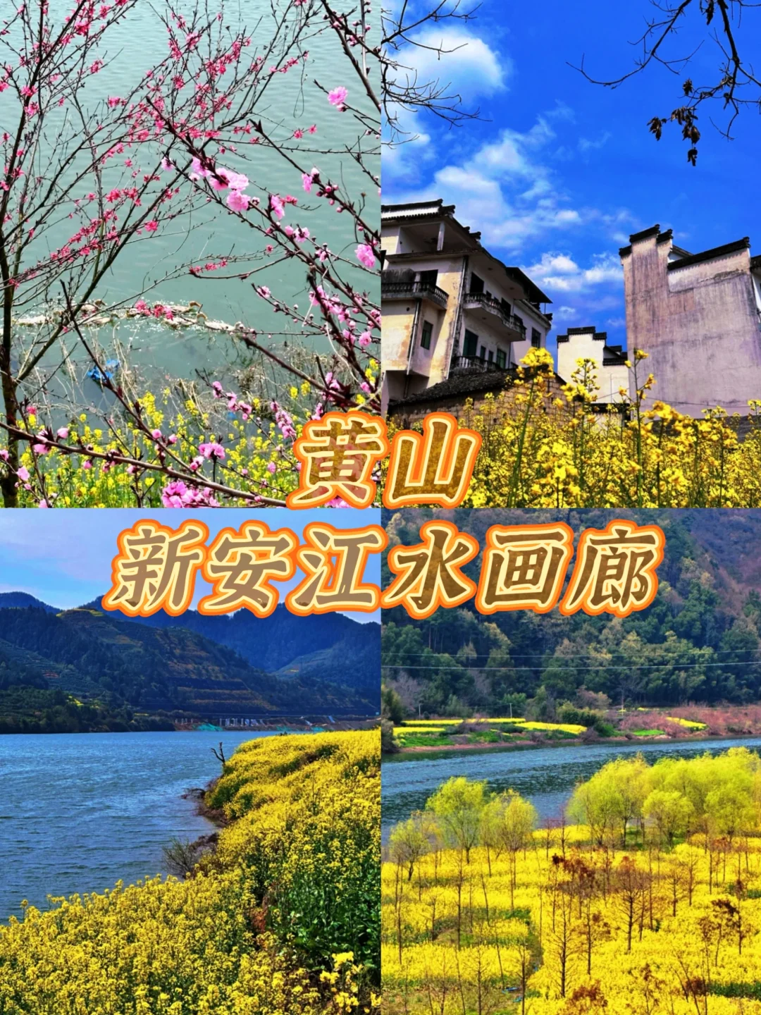 安徽3-4月必去的十大赏花胜地🌸