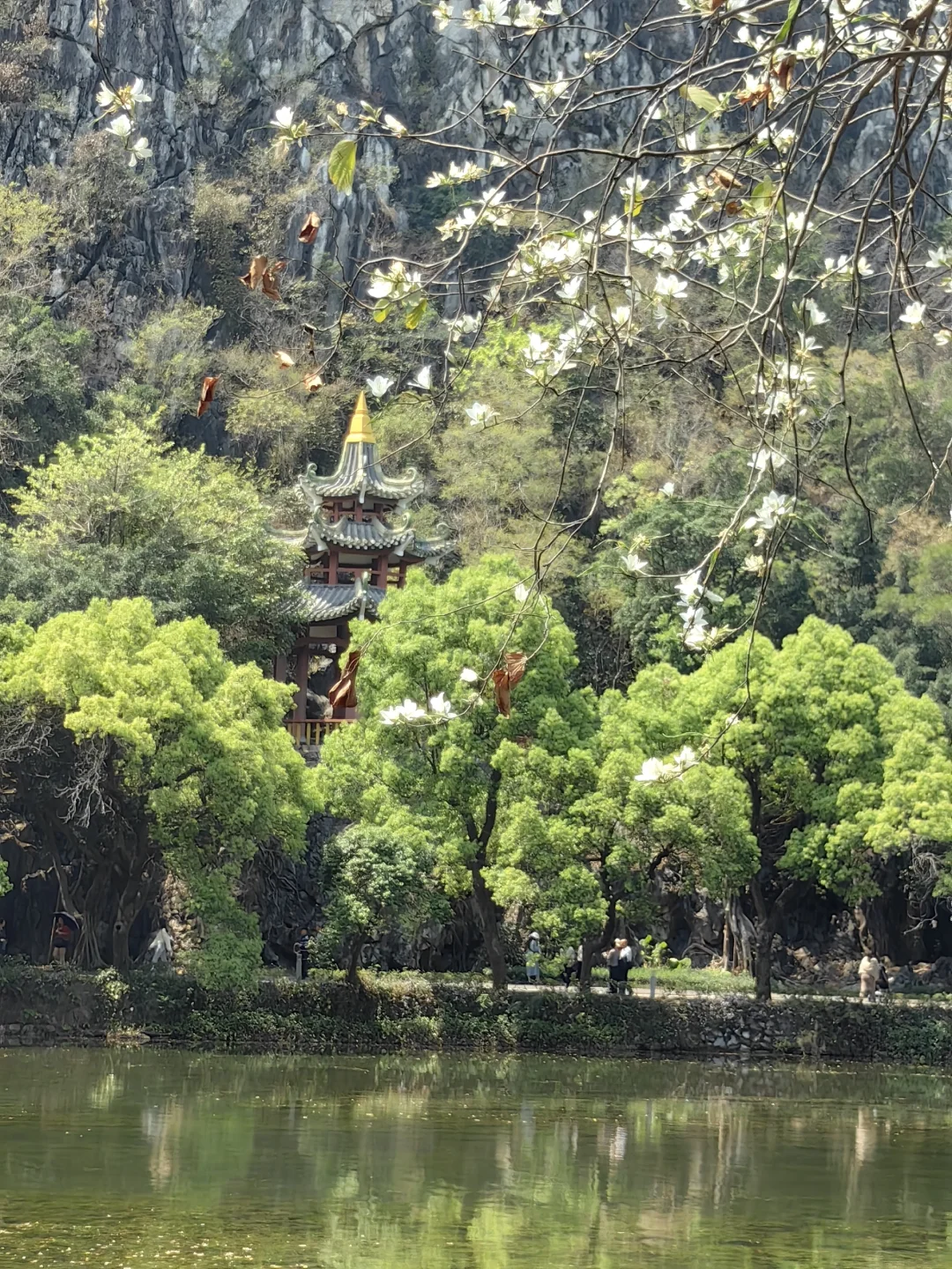 肇庆七星岩免费及优惠政策(2025年)