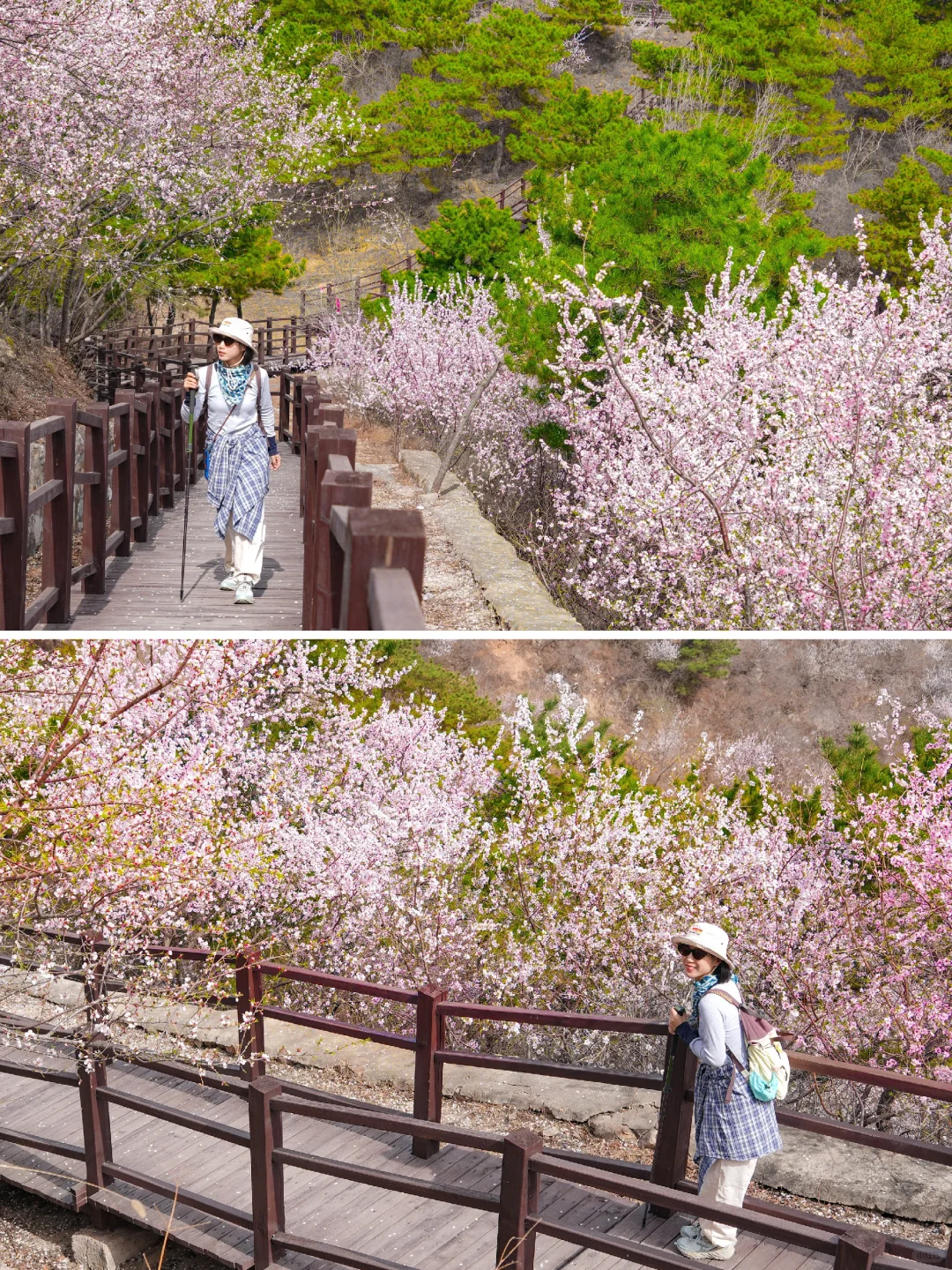 超小众！老少皆宜的无人登山步道美呆了😳！