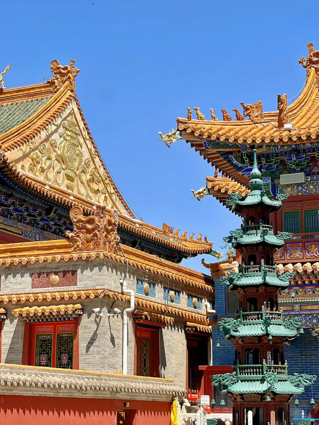 内蒙古的夏天，是一场盛大的浪漫🌷